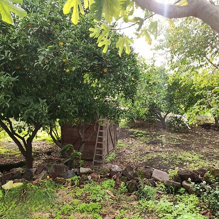 La Casa Di Nonna Ida Apartment Stromboli Luaran gambar