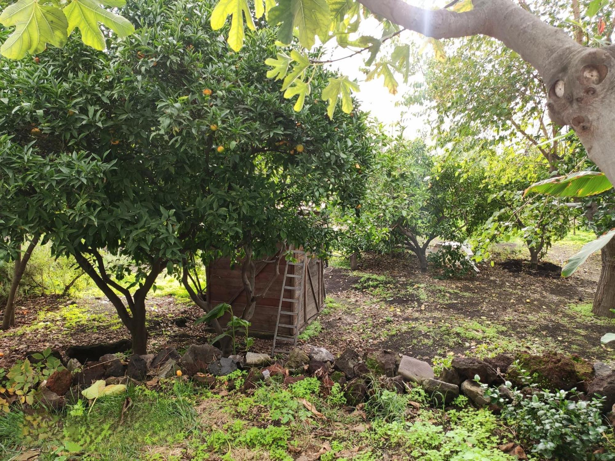 La Casa Di Nonna Ida Apartment Stromboli Luaran gambar